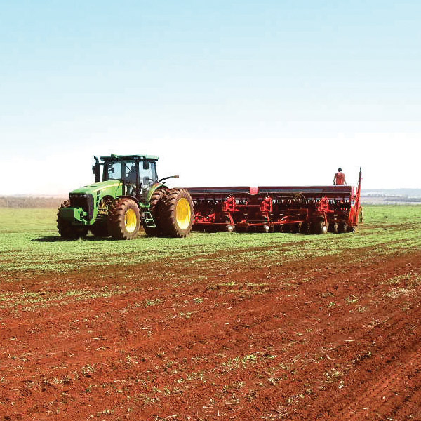 Planting